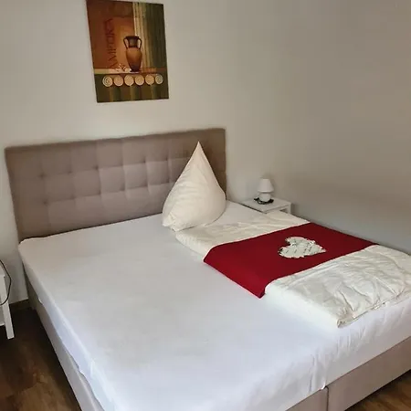 酒店 Birkenhof Garni 巴贝